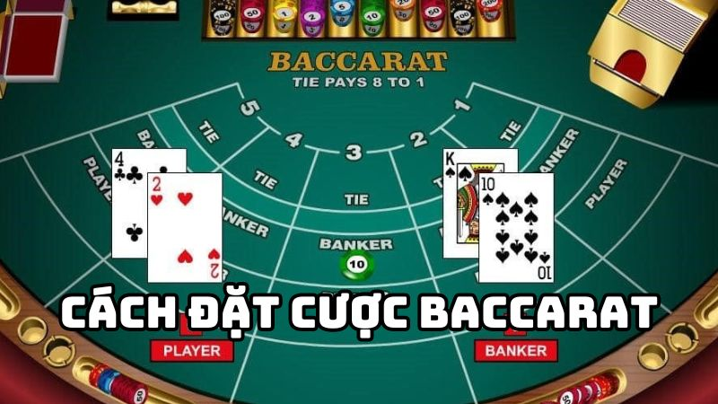 Cách tham gia trải nghiệm game bài Baccarat trên Ok365